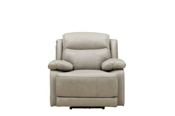 Montana Armchair with Power Recliner and Power Headrest